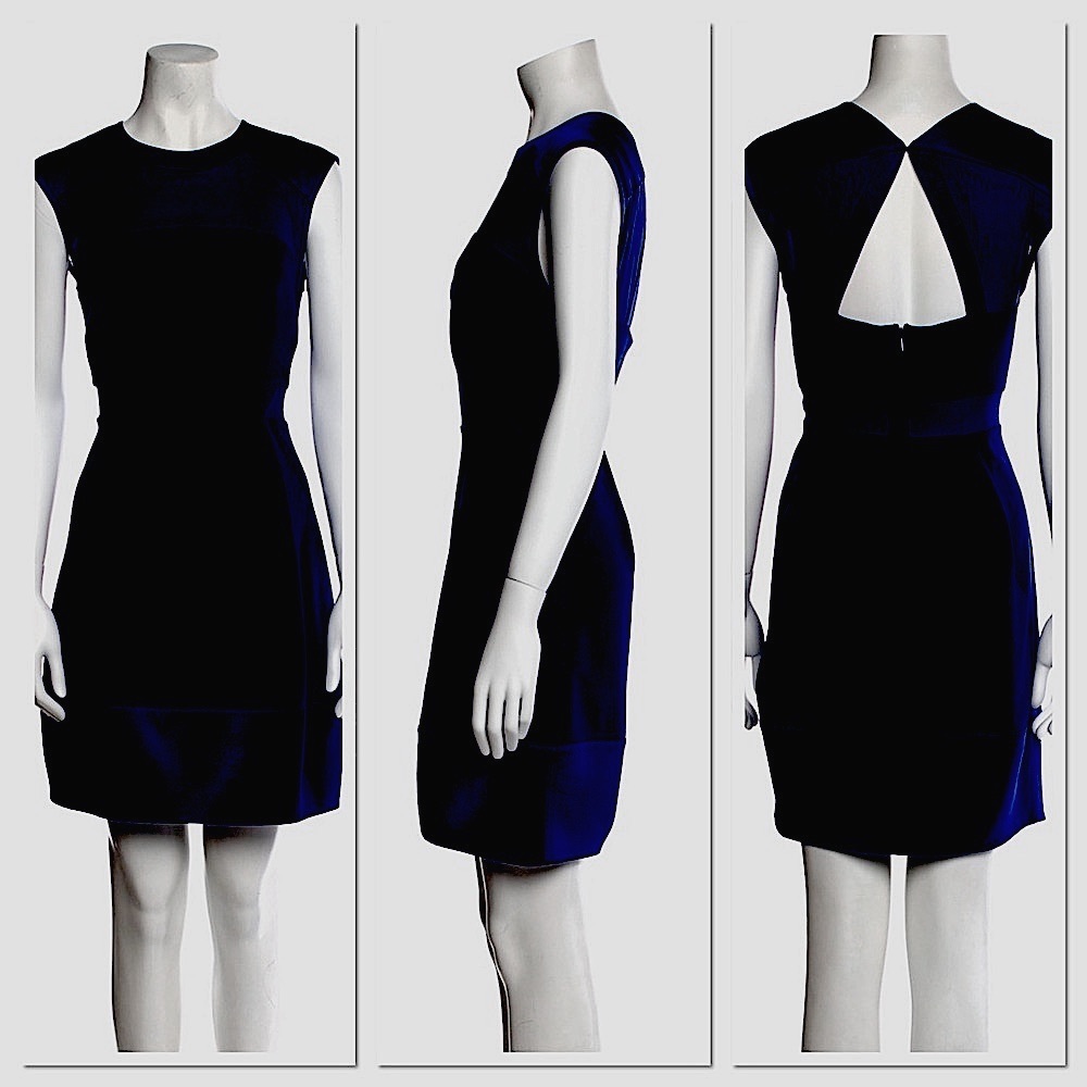 Rebecca Taylor Navy Sheath Dress w/Sheer Waist, Chest & Back Panels Sz 10